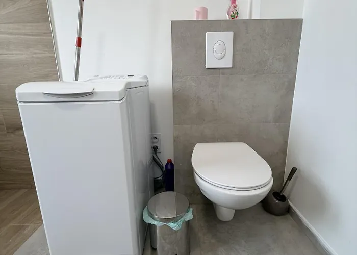 Le Magnifique Holiday home Rosheim